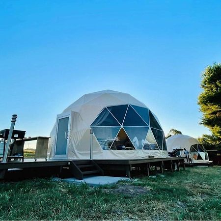 Hillview Farmstay Gundagai Kültér fotó