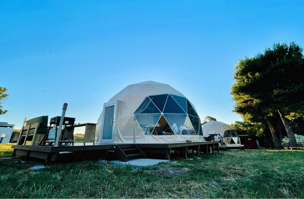 Hillview Farmstay Gundagai Kültér fotó