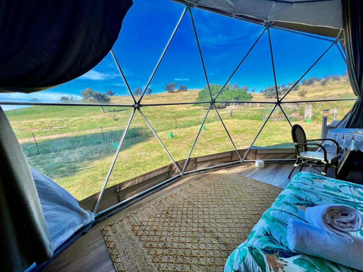 Hillview Farmstay Gundagai Kültér fotó
