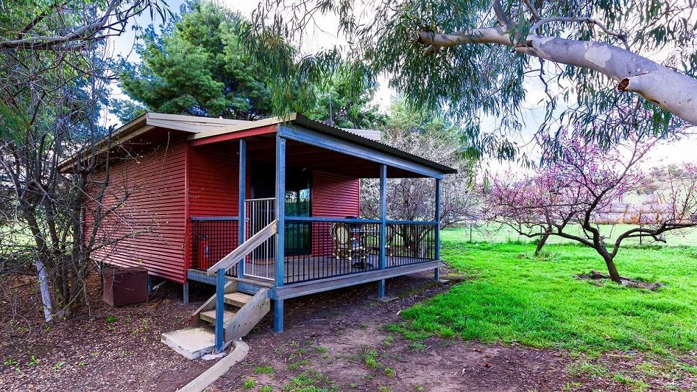 Hillview Farmstay Gundagai Kültér fotó