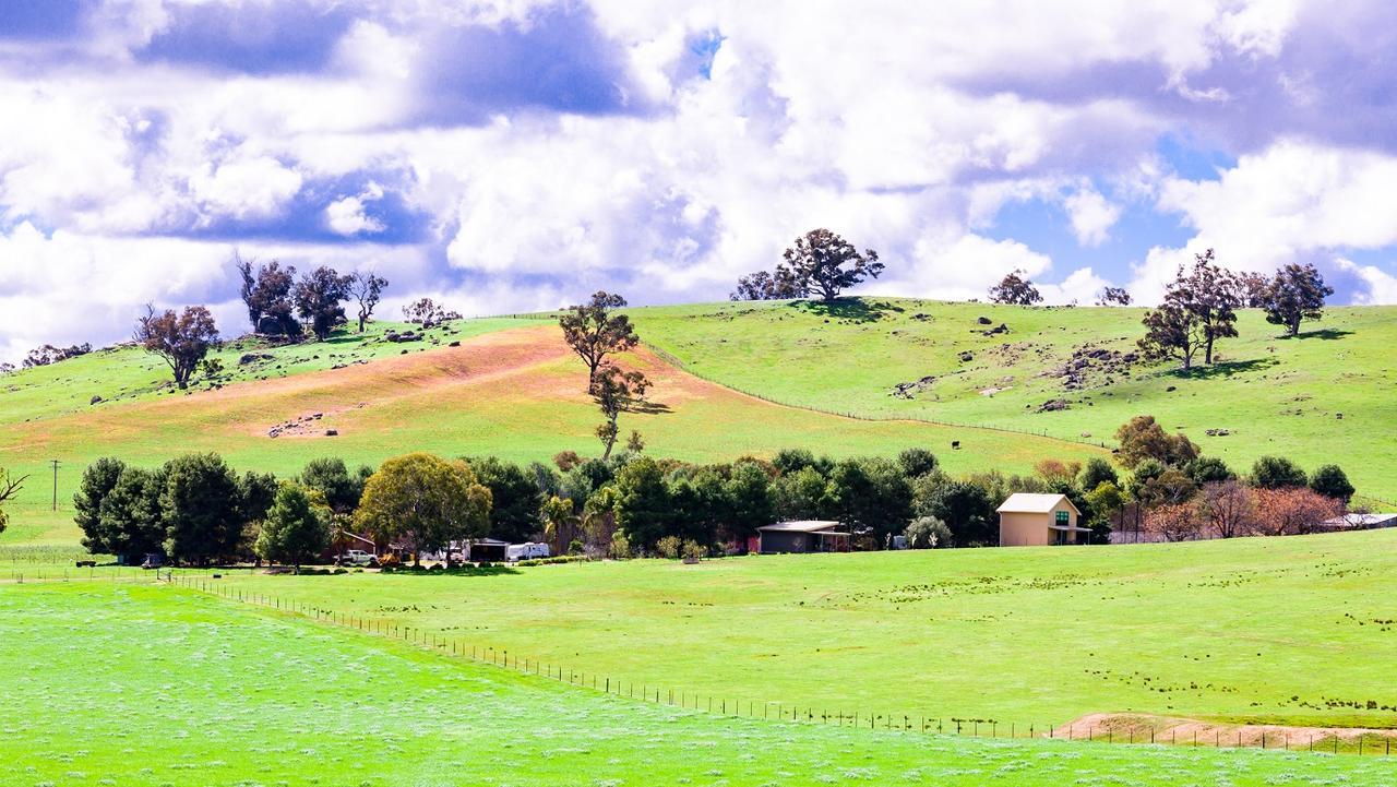 Hillview Farmstay Gundagai Kültér fotó