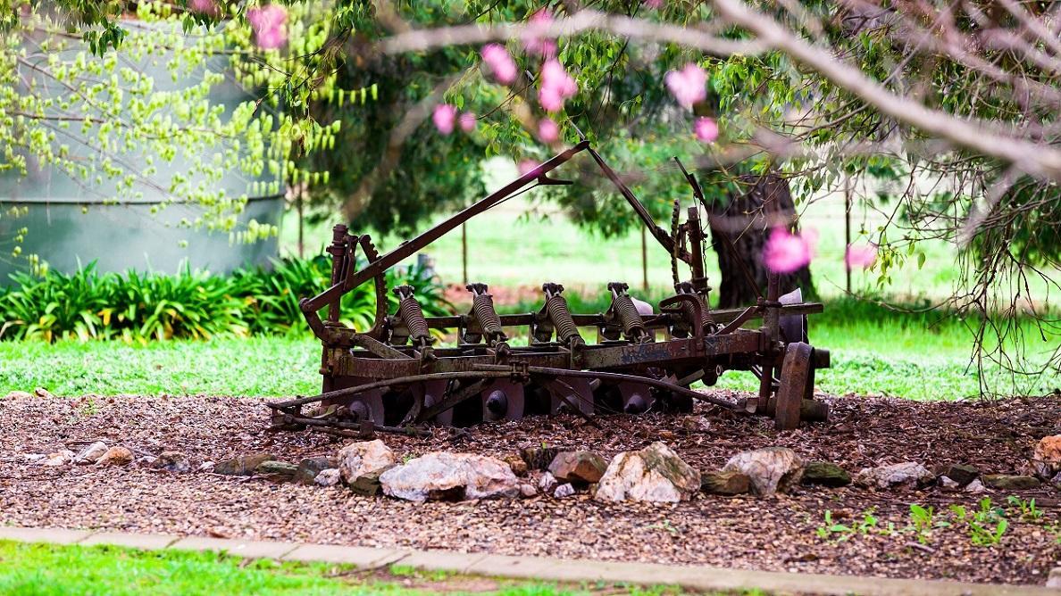 Hillview Farmstay Gundagai Kültér fotó