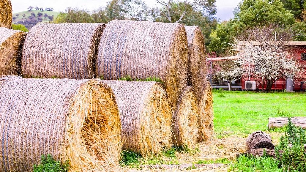 Hillview Farmstay Gundagai Kültér fotó