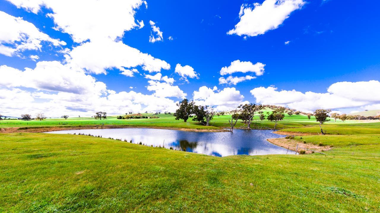 Hillview Farmstay Gundagai Kültér fotó