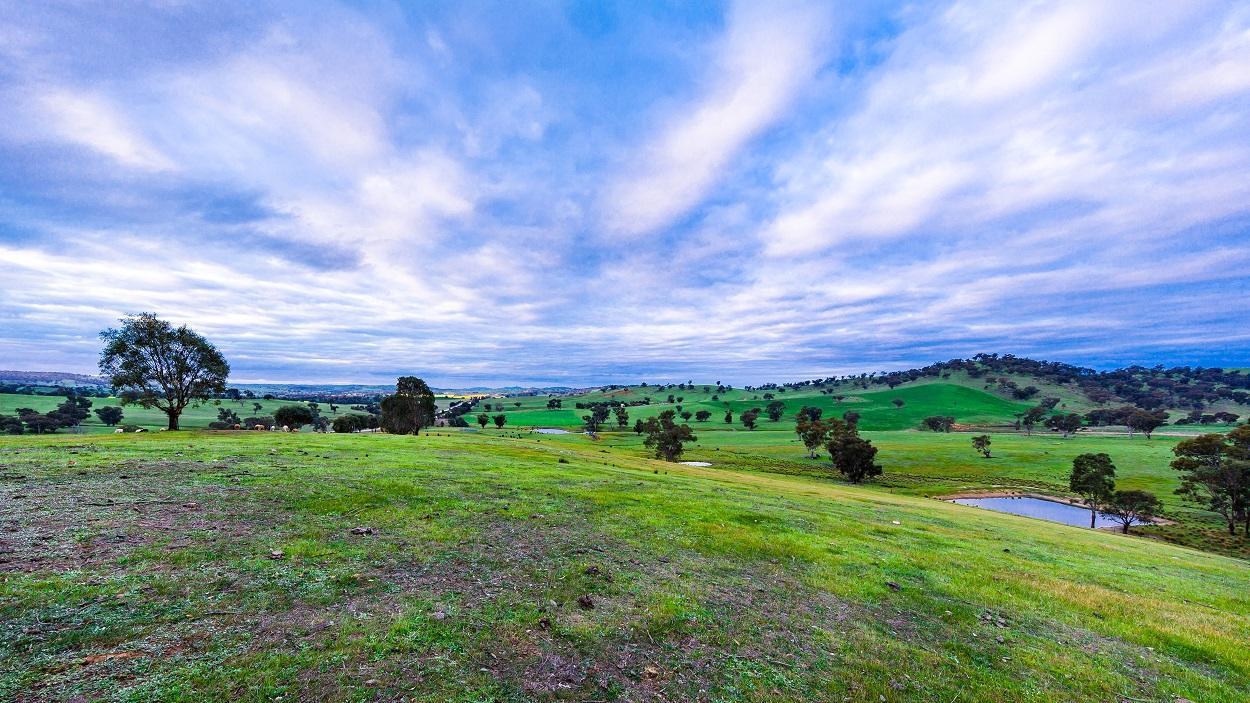 Hillview Farmstay Gundagai Kültér fotó