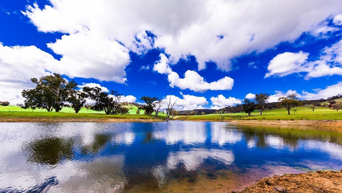 Hillview Farmstay Gundagai Kültér fotó