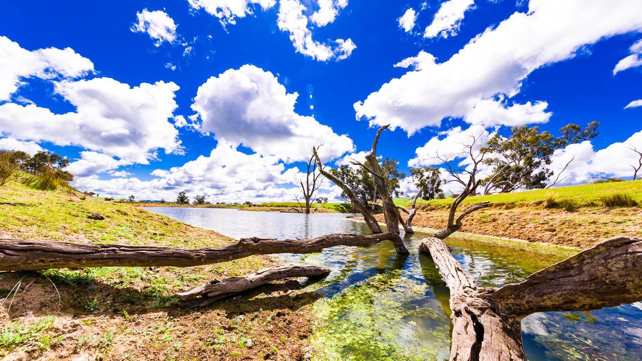 Hillview Farmstay Gundagai Kültér fotó