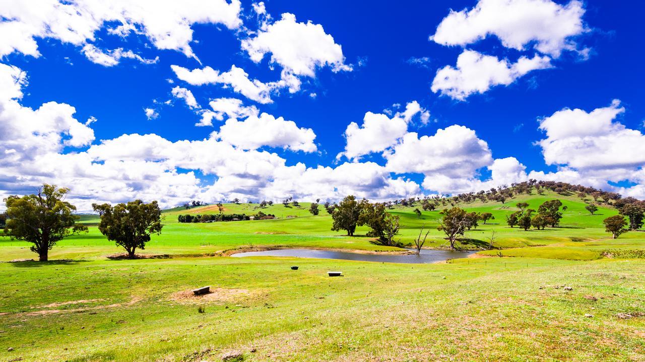 Hillview Farmstay Gundagai Kültér fotó
