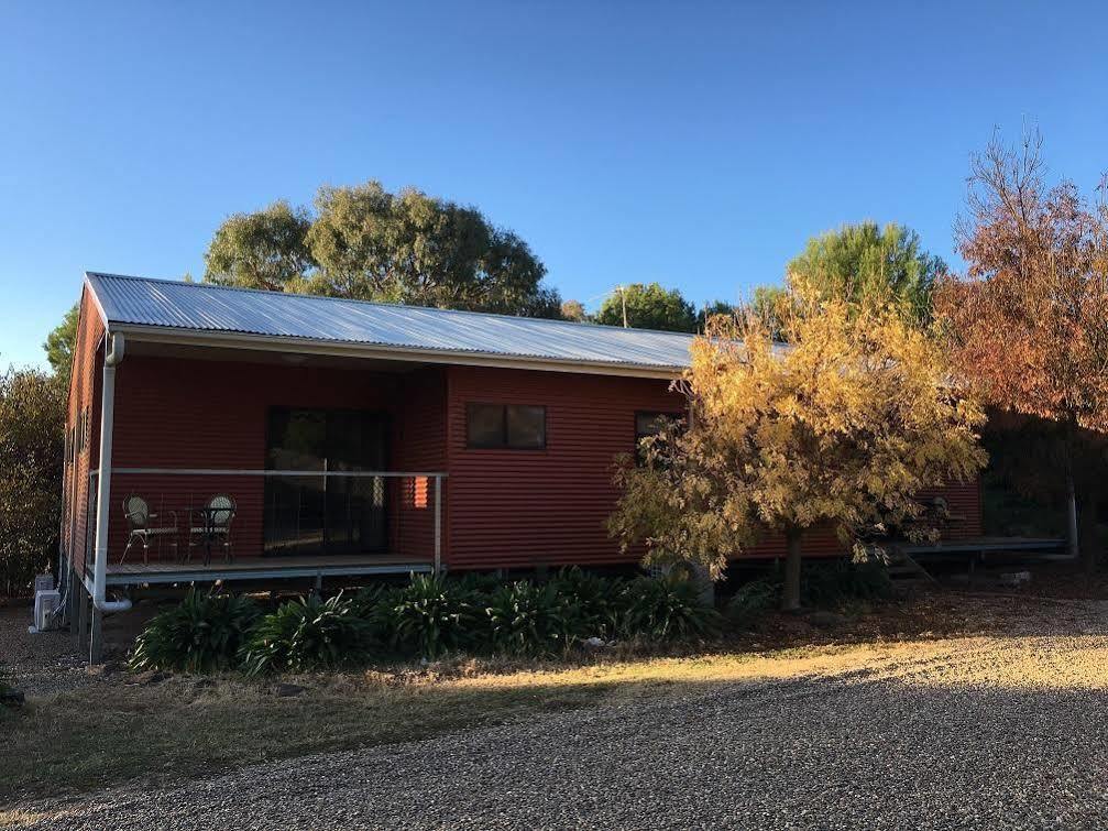 Hillview Farmstay Gundagai Kültér fotó