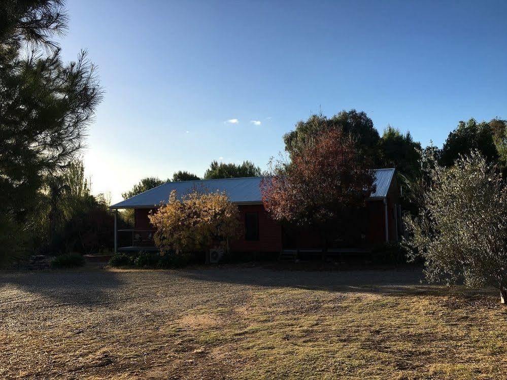 Hillview Farmstay Gundagai Kültér fotó