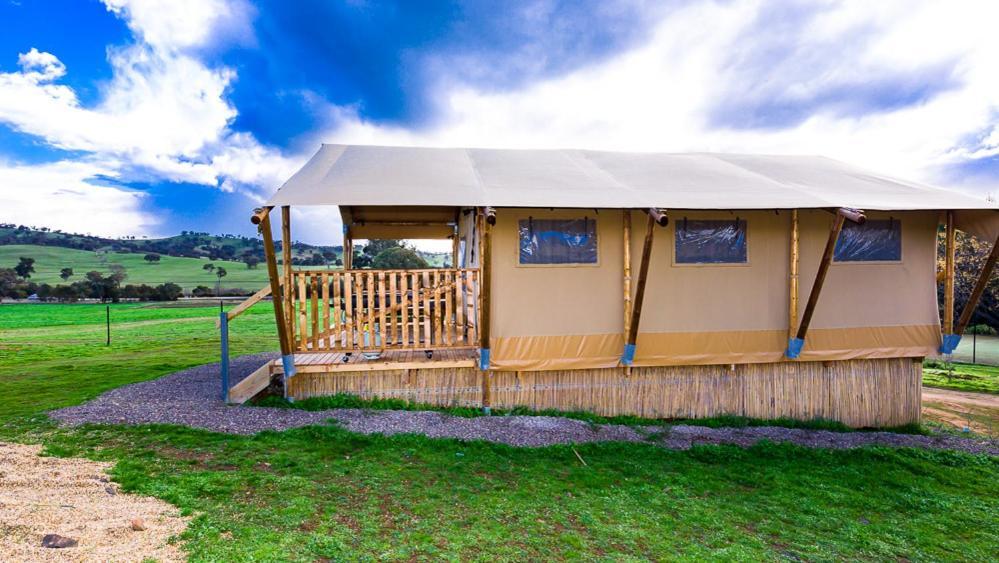 Hillview Farmstay Gundagai Kültér fotó