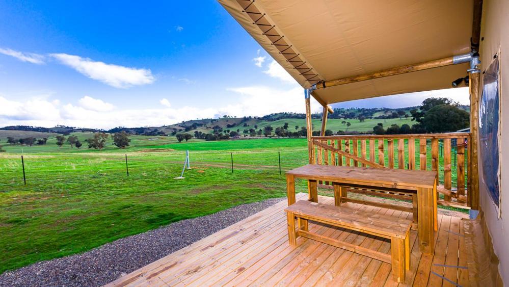 Hillview Farmstay Gundagai Kültér fotó